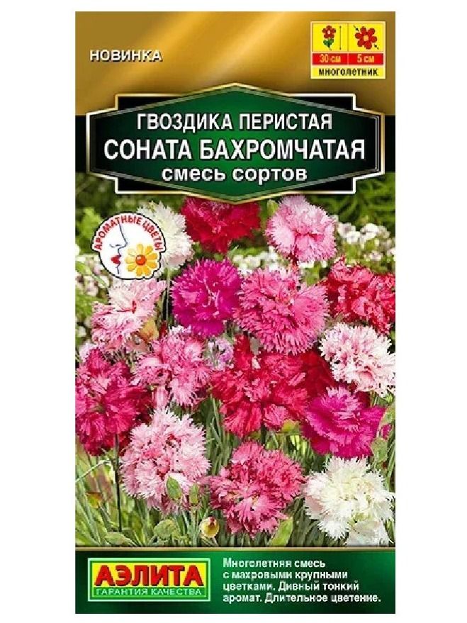 Гвоздика перистая Соната бахромчатая, смесь сортов 0,1гр
