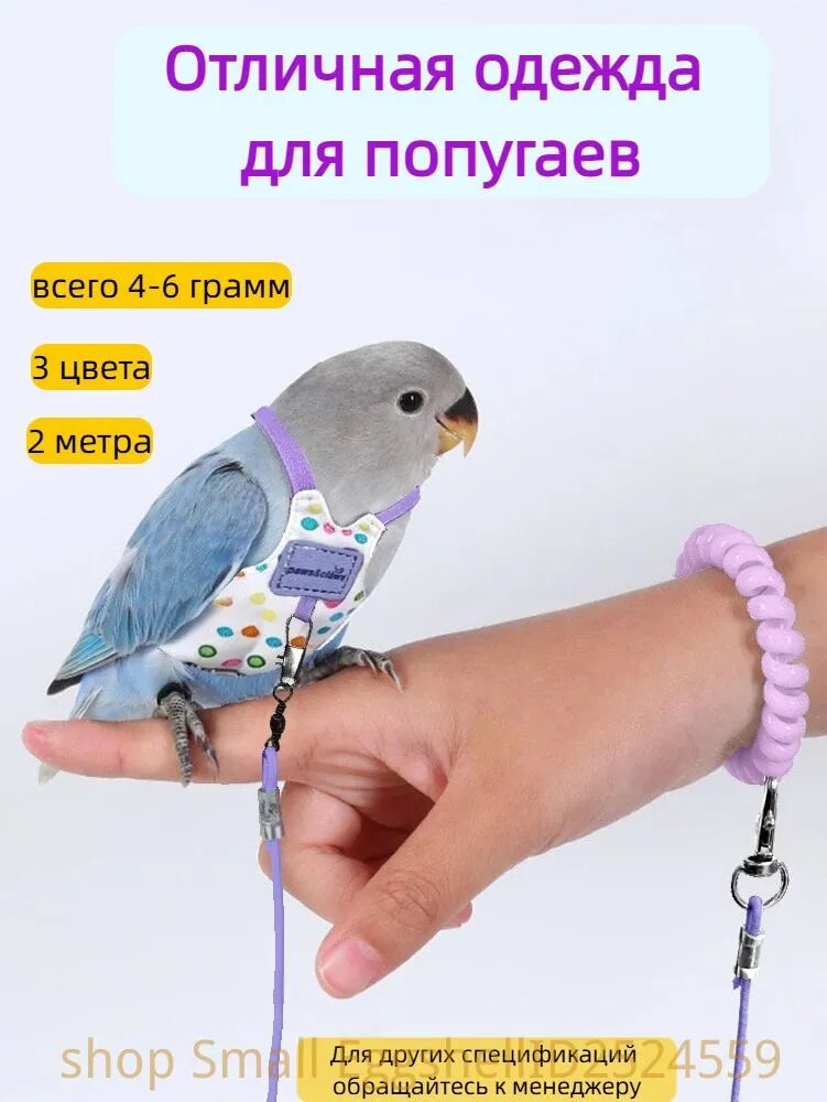 Летный костюм для попугая с поводком ткань, солнечный попугайчик 5.5*10 cm, Синий