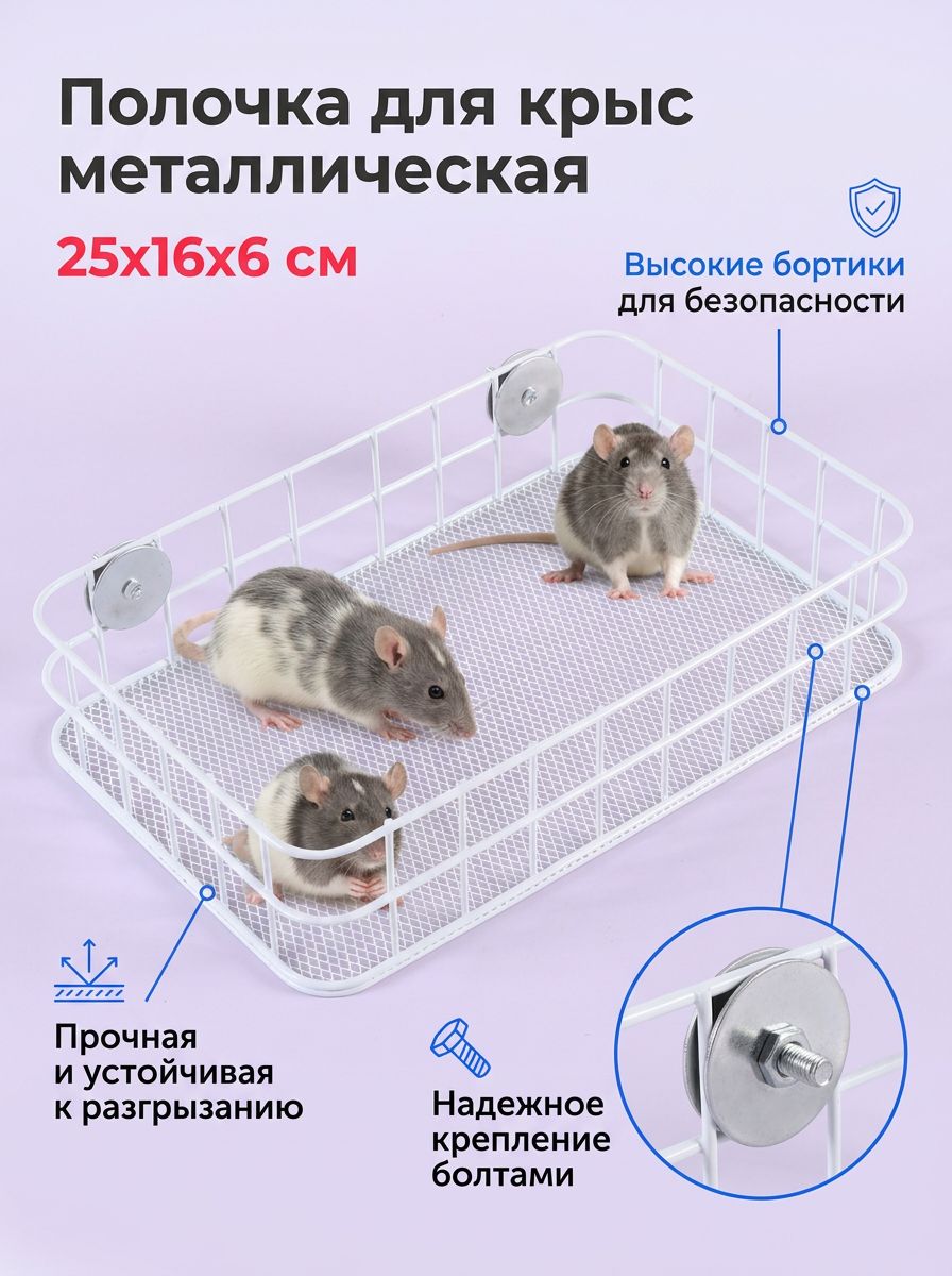 Полочка для крыс металлическая второй этаж в клетку лежанка с подушкой аксессуары для грызунов