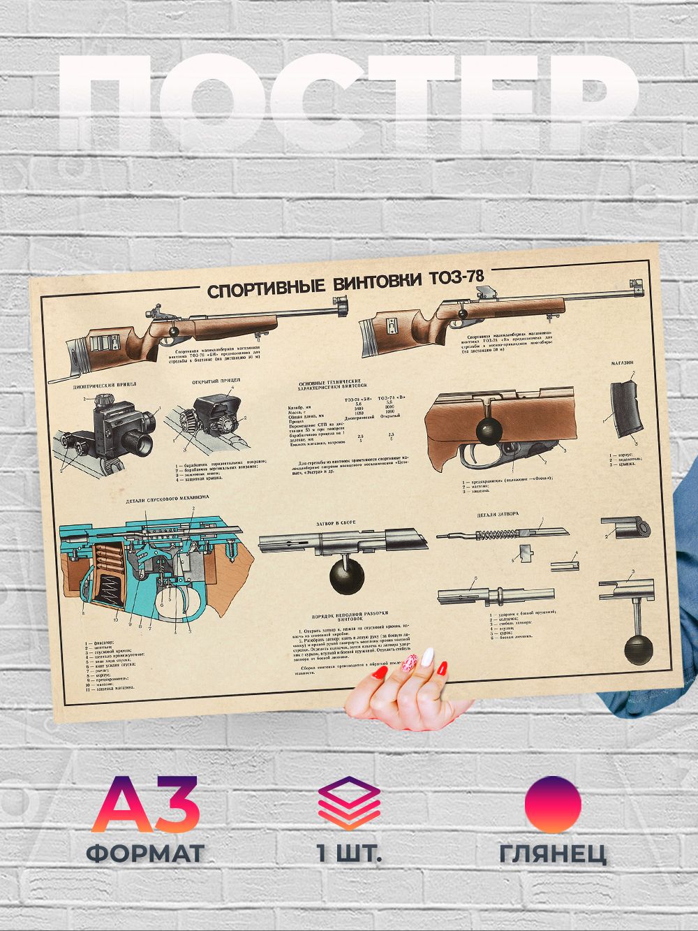 P340 Плакат Спортивная винтовка ТОЗ-78 А3