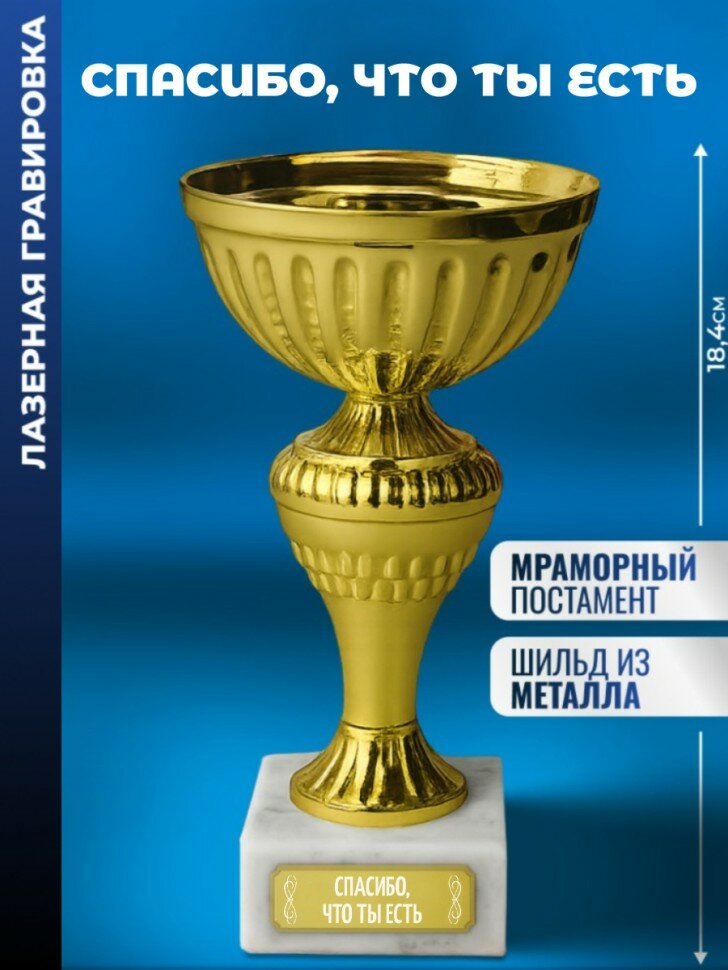 Кубок "Спасибо, что ты есть"