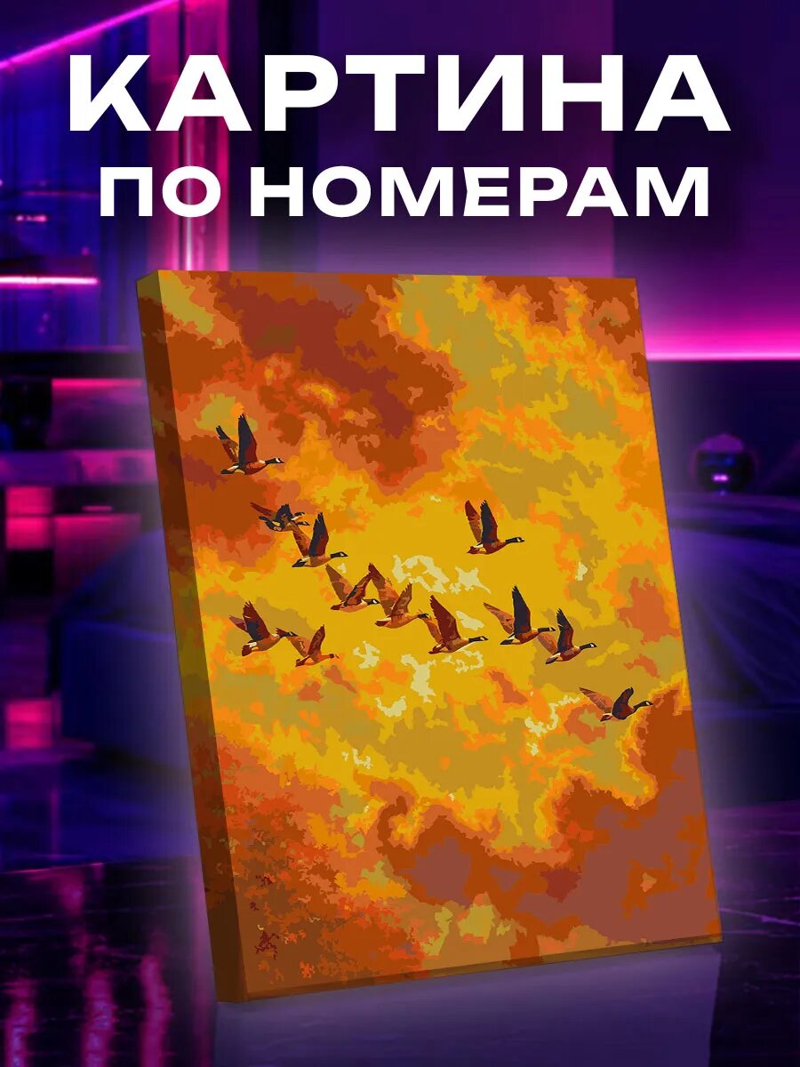 Картина по номерам Гуси