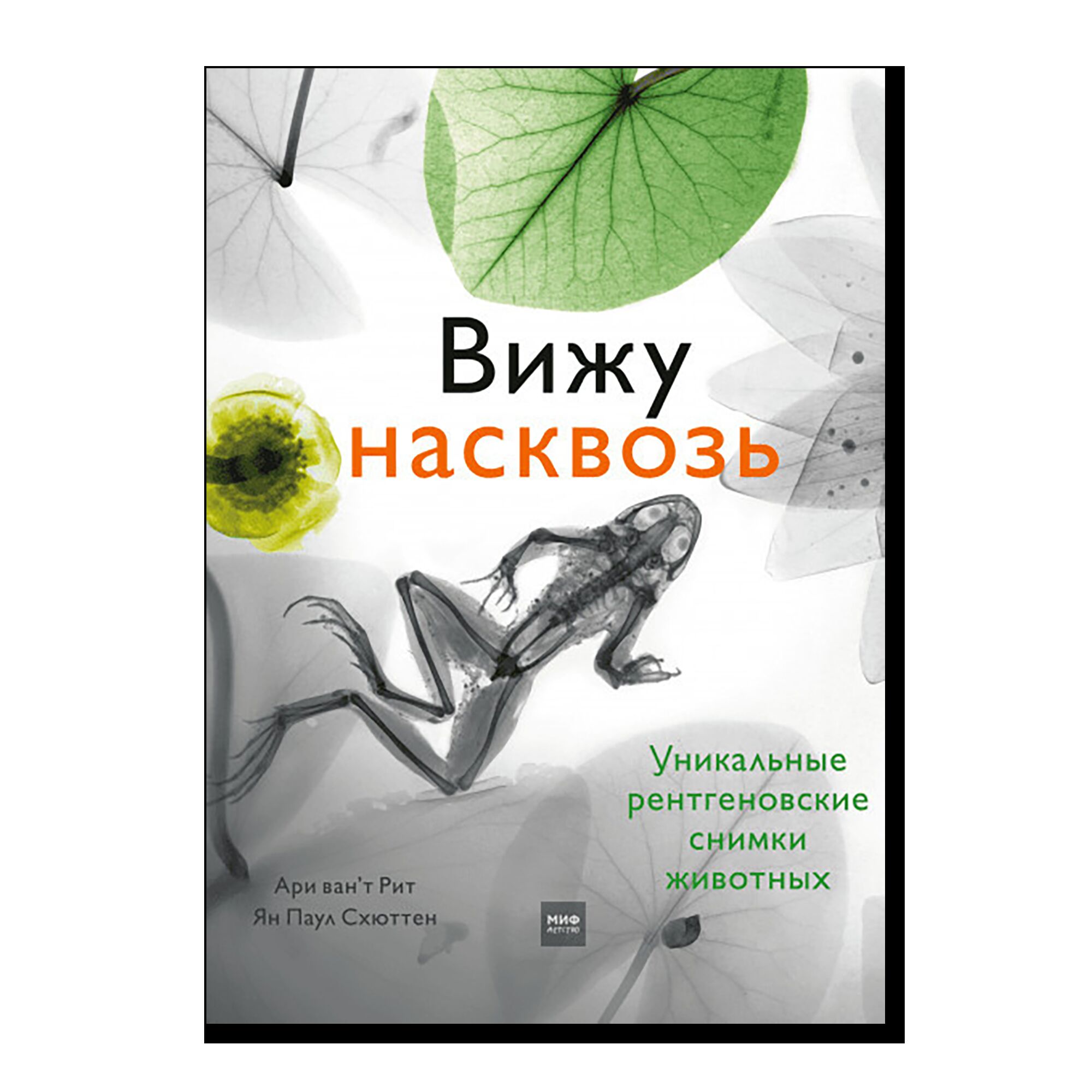 Вижу насквозь. Удивительные рентгеновские снимки животных
