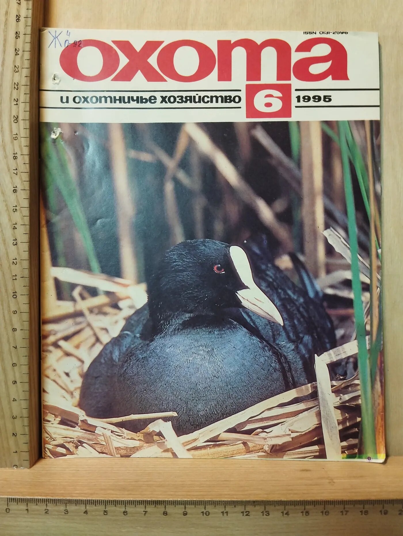 Журнал: Охота и охотничье хозяйство. №6. 1995