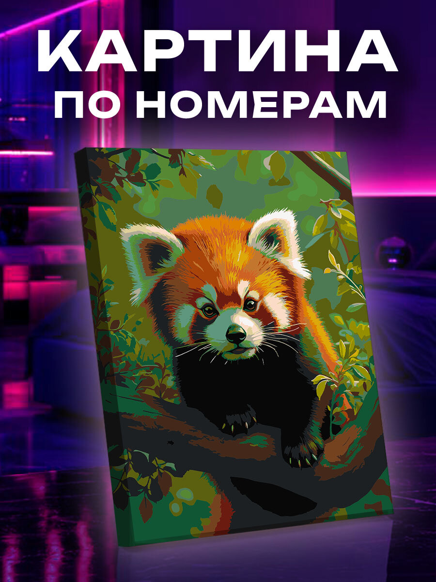 Картина по номерам Панда