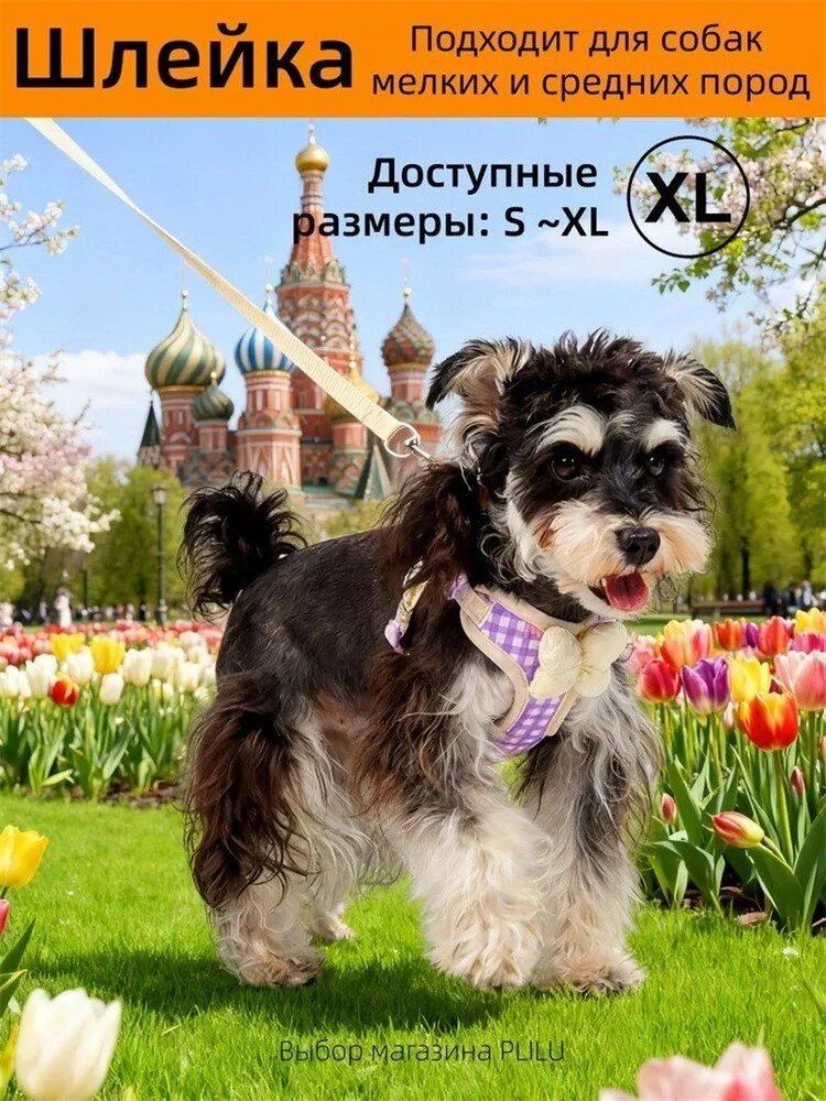 Модная шлейка для мелких и средних пород Клетчатый принт Светоотражающие полоски, Фиолетовый, размер XL