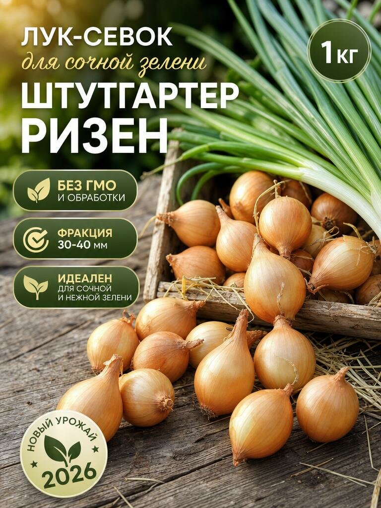 Лук севок на зелень 1кг