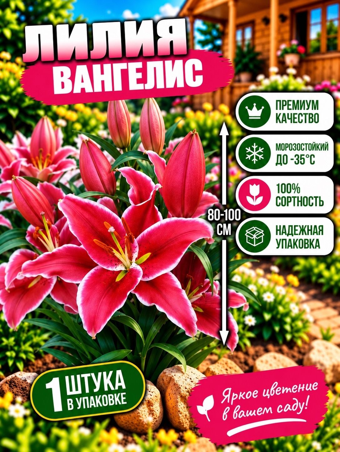 Луковица лилии "Вангелис", в количестве 1 шт. в упаковке, морозостойкий