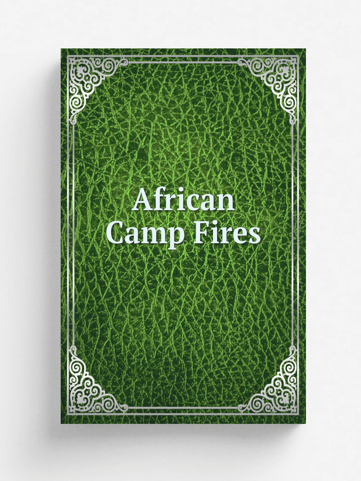 African Camp Fires | Репринт