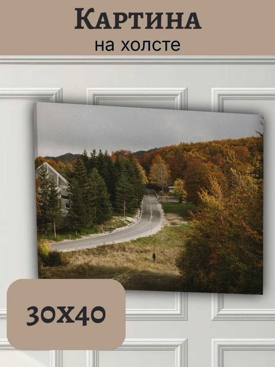 Картина Черногория Montenegro 30x40 осенний лесной пейзаж