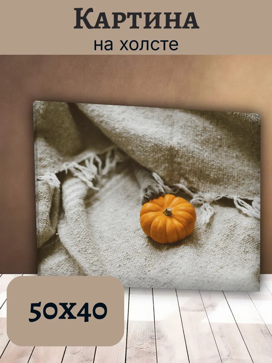 Картина Постер Кот Кошка Cat 40x50 уютная осенняя