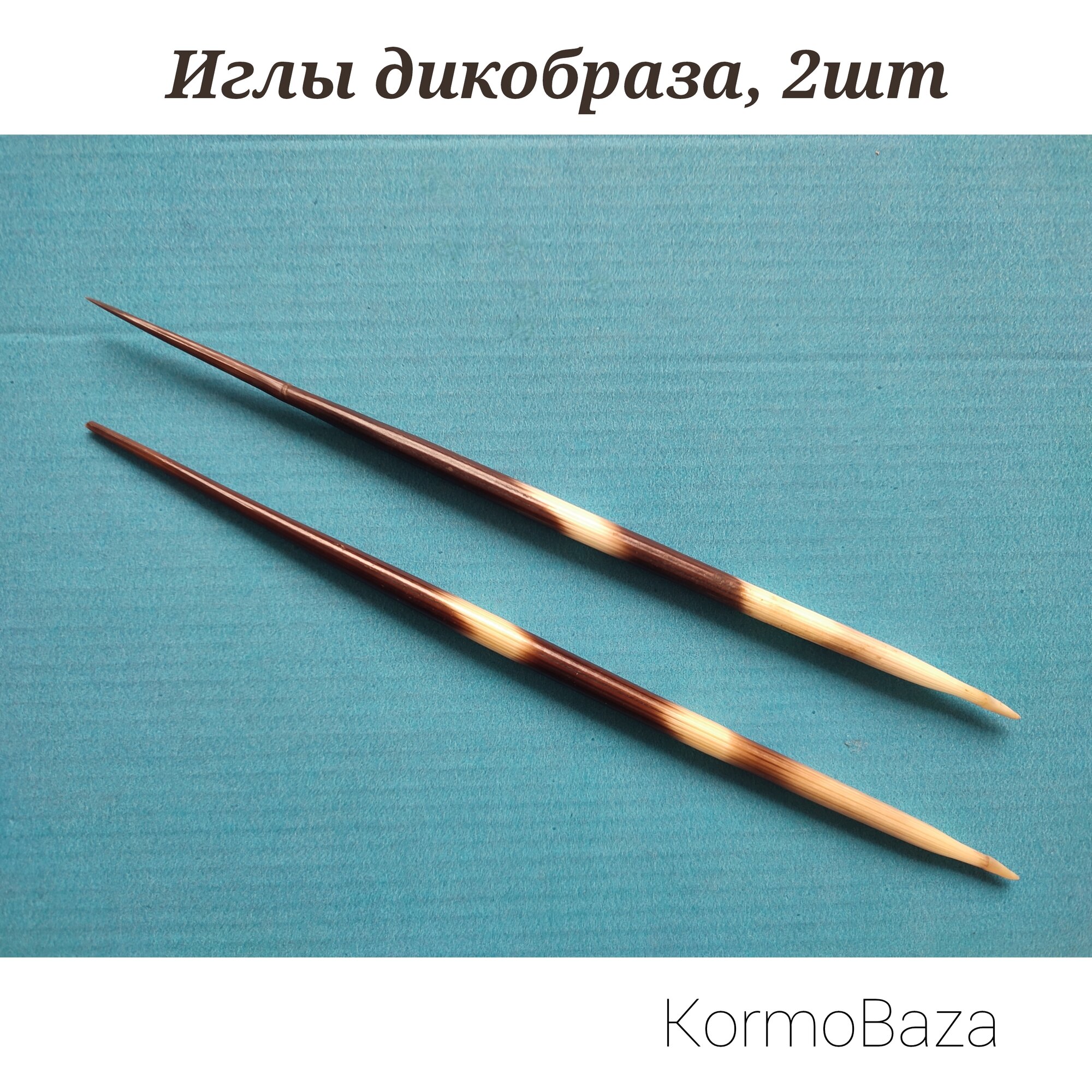 Настоящие иглы дикобраза 21см, 2шт