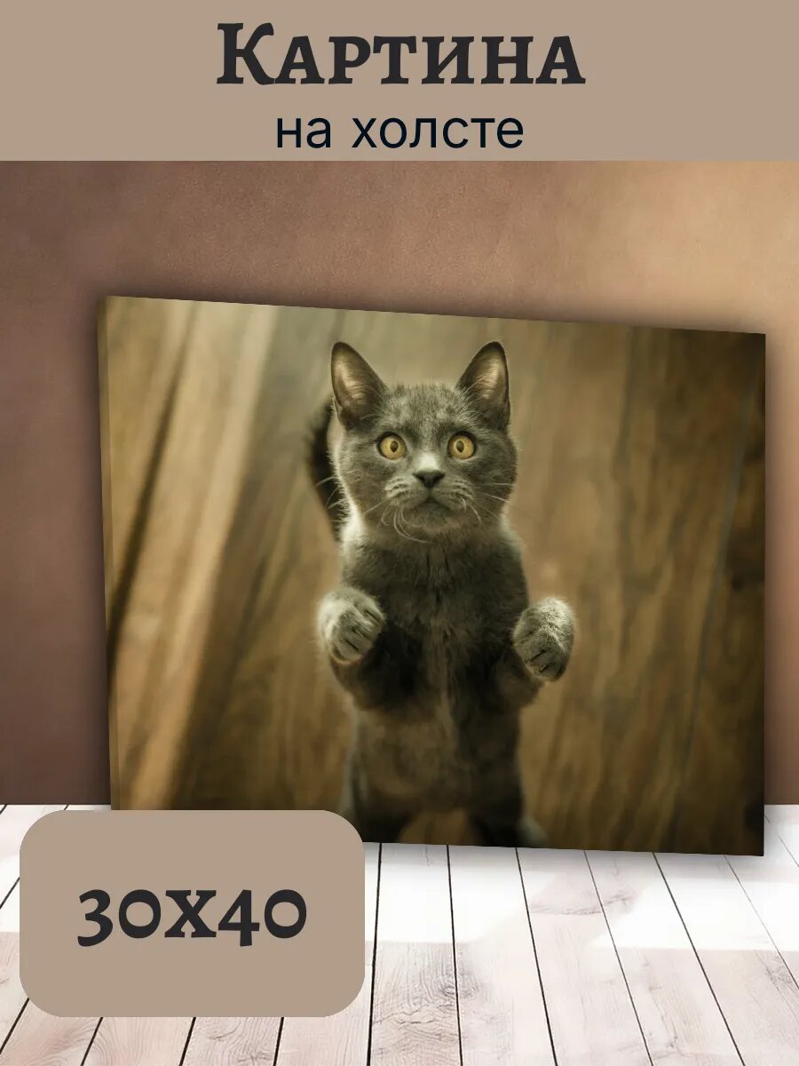 Картина Кот Кошка Cat 30x40 серый котенок на фоне дерева