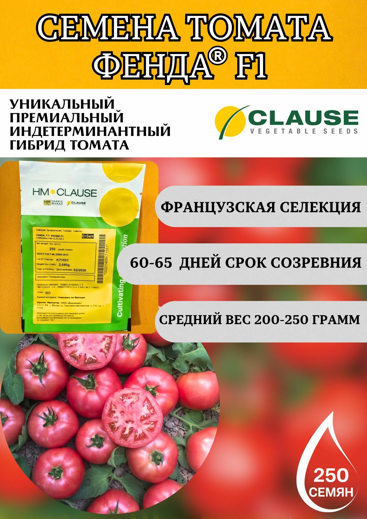 Томат Фенда F1 250 семян CLAUSE, профессиональные семена