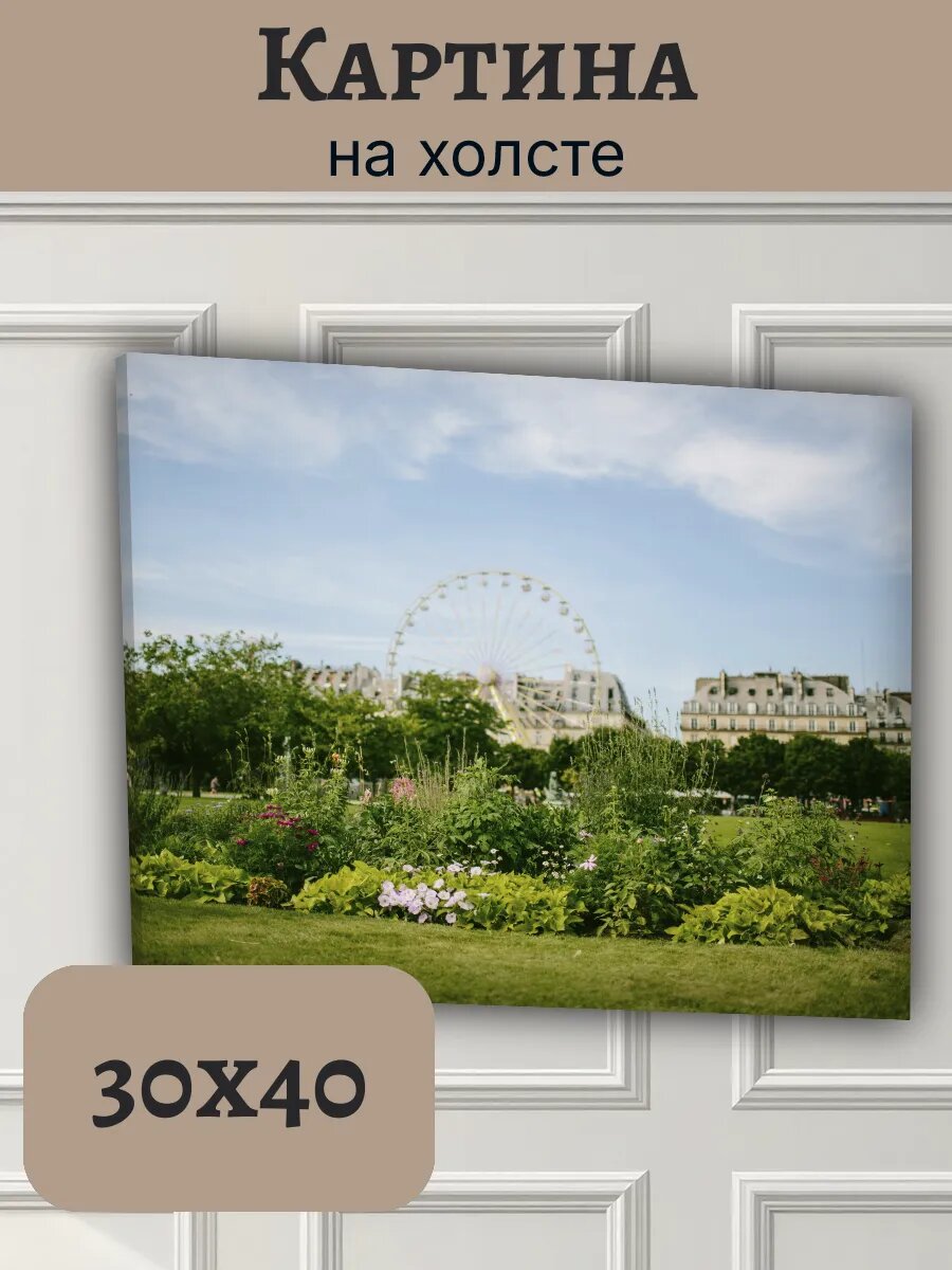 Картина Франция France 30x40 панорама Парижа с колесом