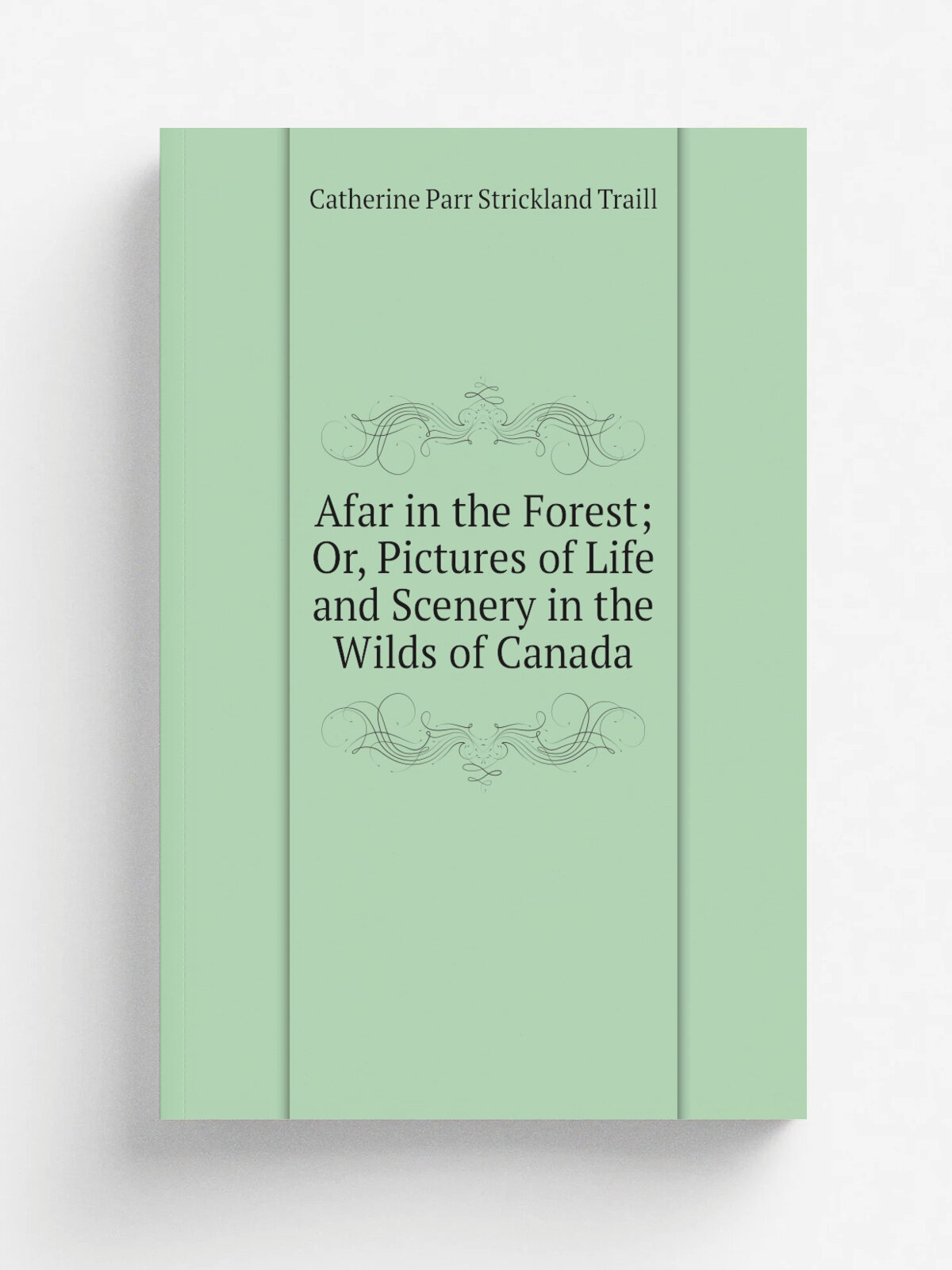 Afar in the Forest; Or, Pictures of Life and Scenery in the Wilds of Canada