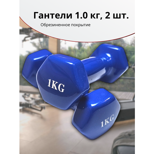 фото Гантели,2 шт. по 1,0 кг, виниловое покрытие, синие, гексагональные.