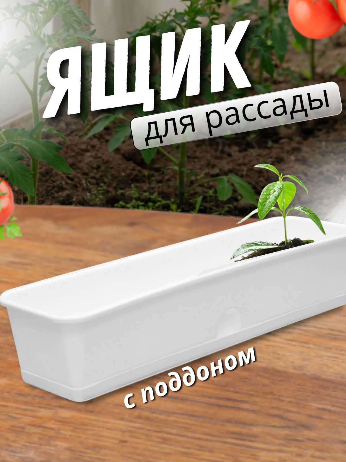 Ящик для рассады с поддоном на подоконник 62*16*12см белый. Балконный горшок для цветов, помидор, огурцов, зелени