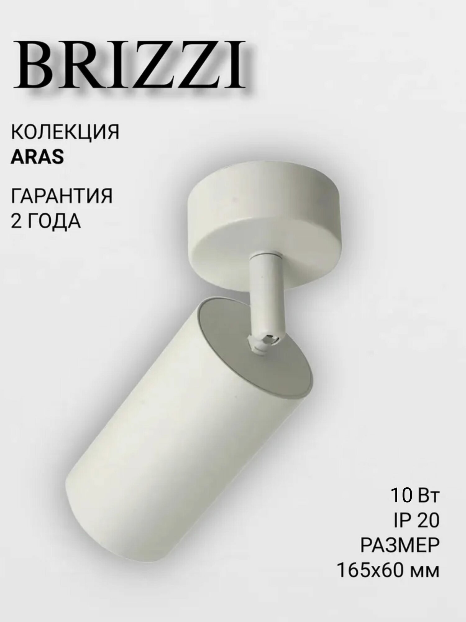 Потолочный светильник-спот BRIZZI ARAS BR08075