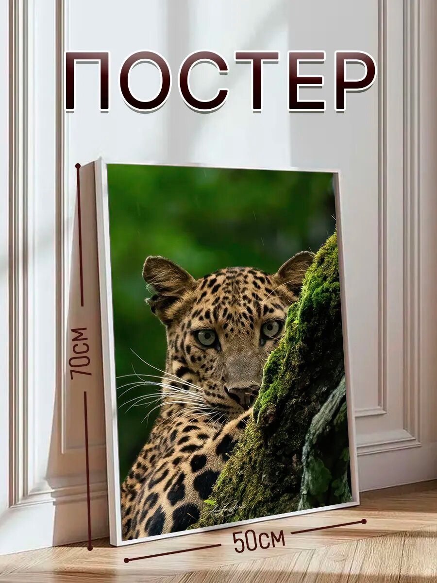 Постер на стену интерьерный, постер 50х70