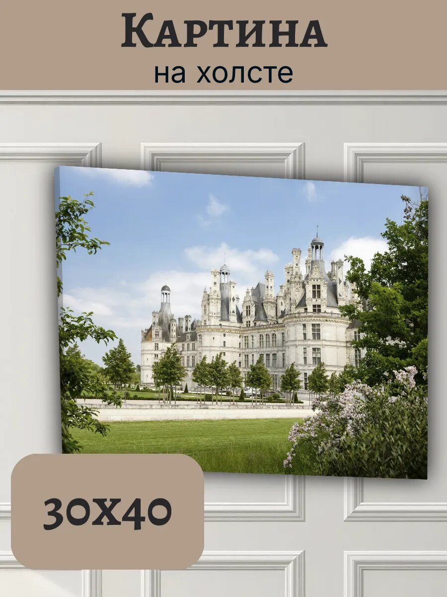 Картина Франция France 30x40 шато Шенонсо архитектура