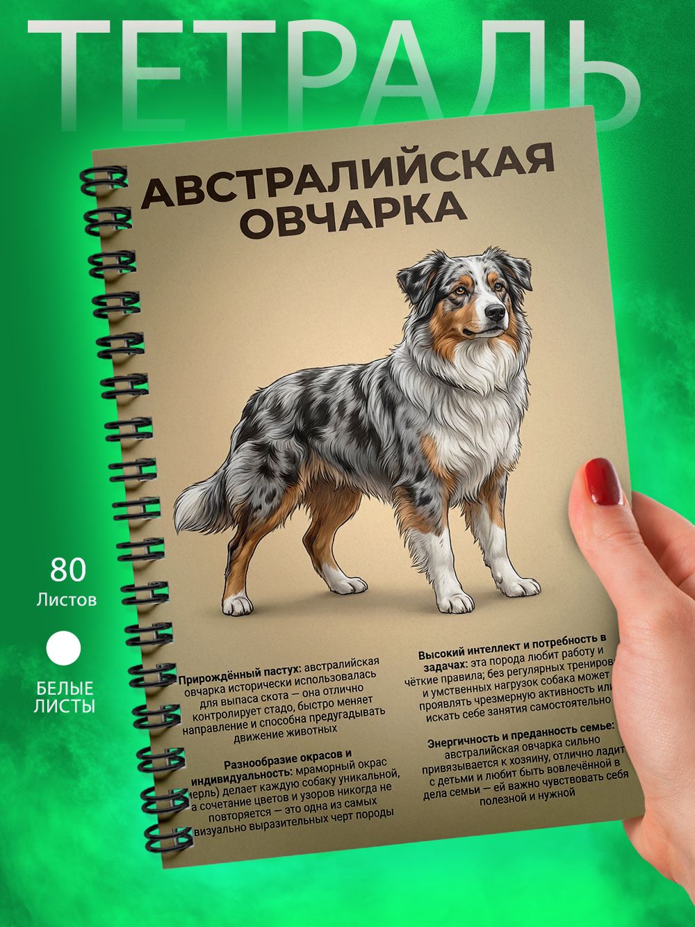 Тетрадь - А5 - Австралийская овчарка