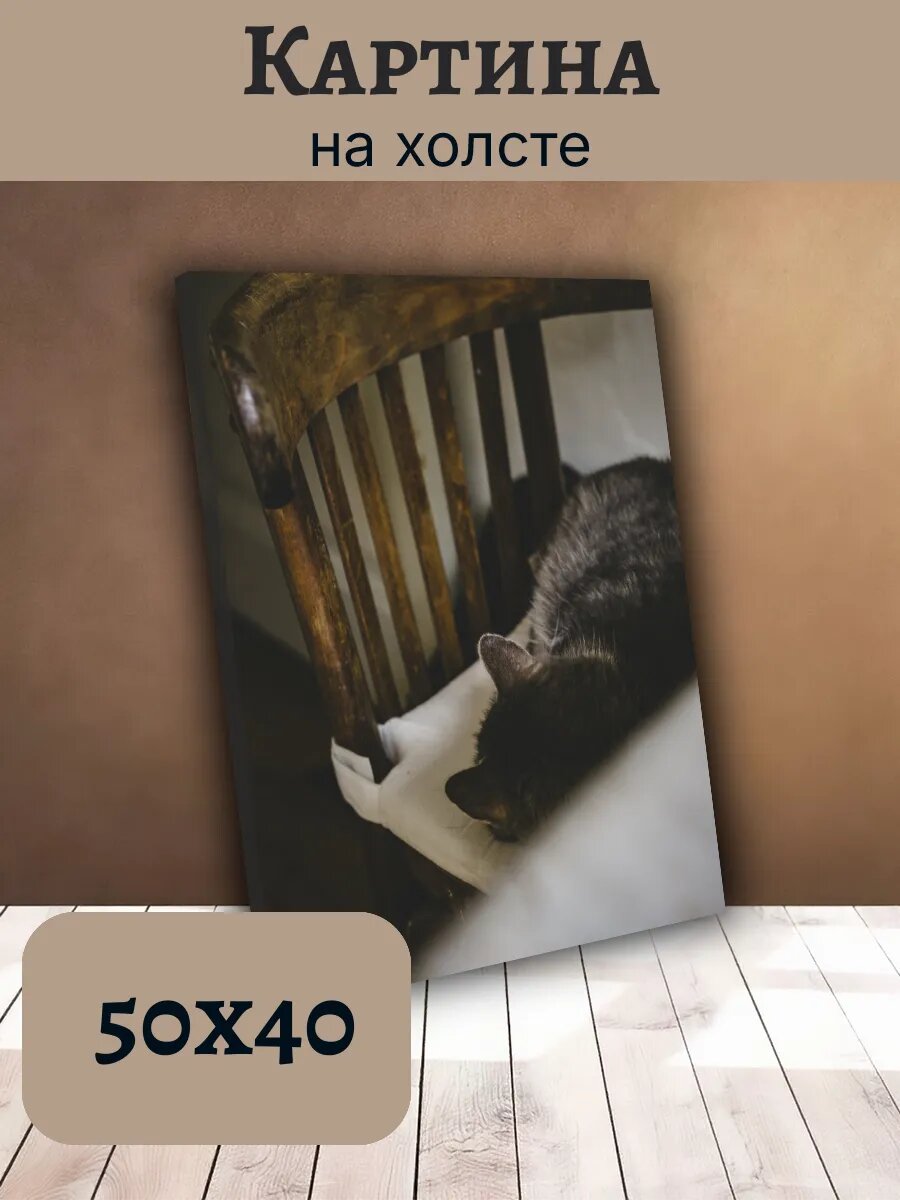 Картина Постер Кот Кошка Cat 40x50 спящий на стуле