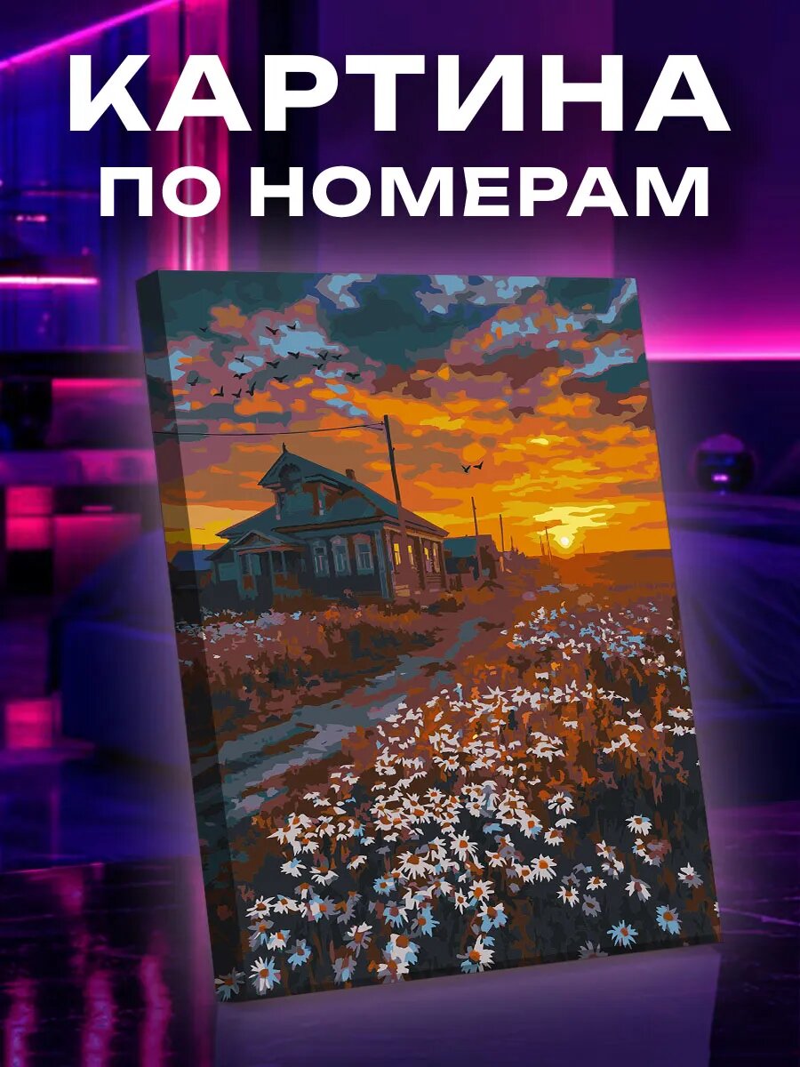 Картина по номерам Домик в деревне