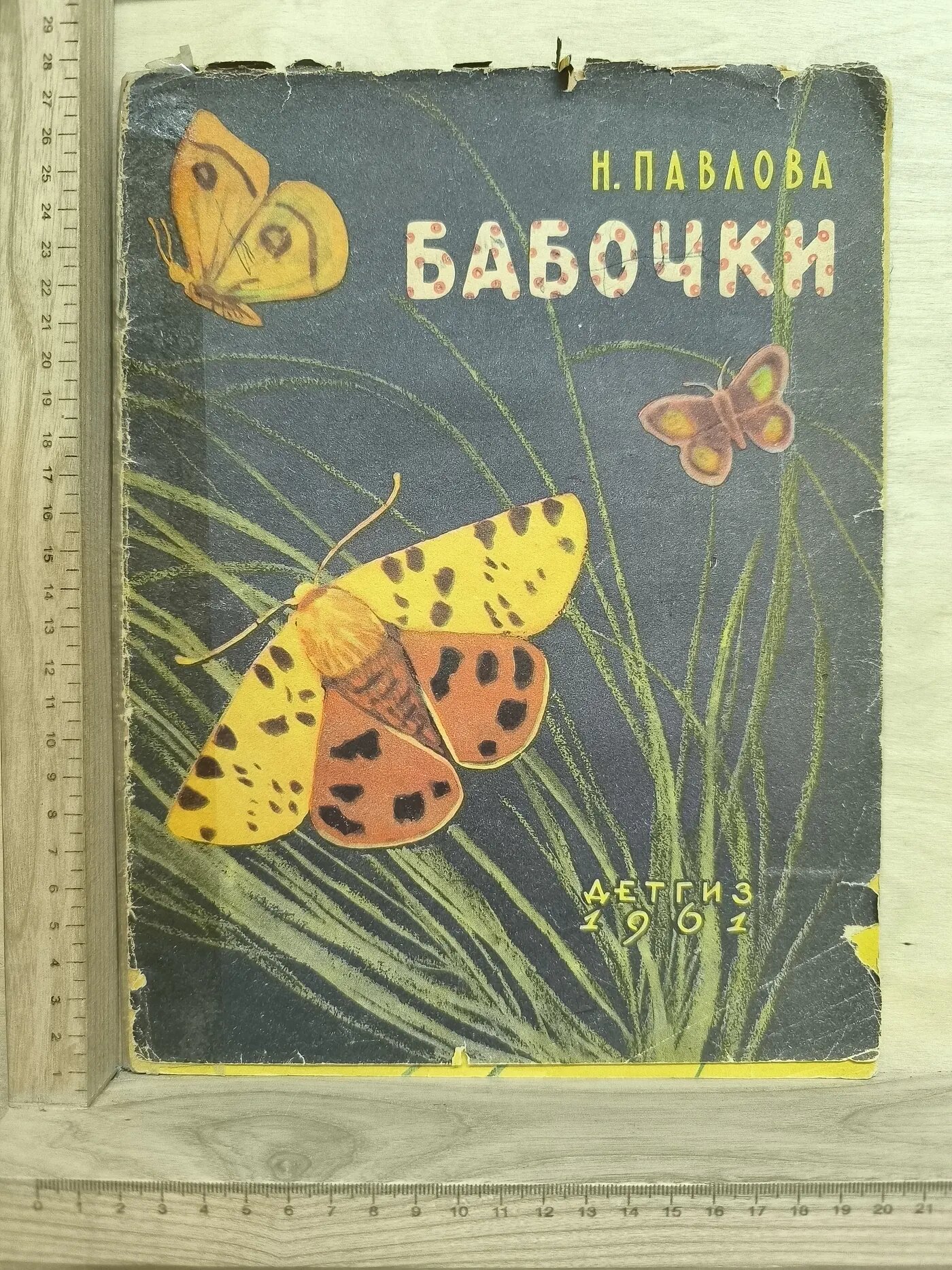 Бабочки