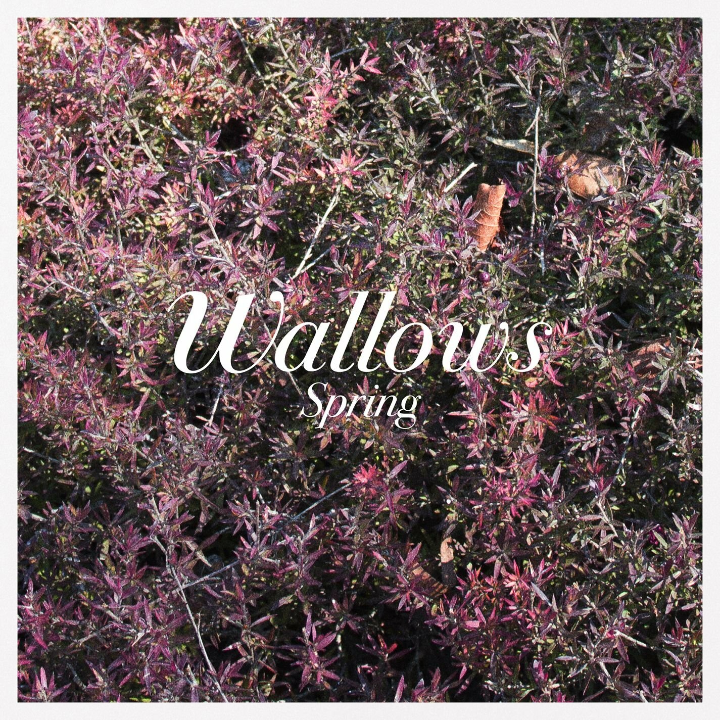 Виниловая пластинка Wallows - Spring (Vinyl, 12", 45 RPM, 2023)