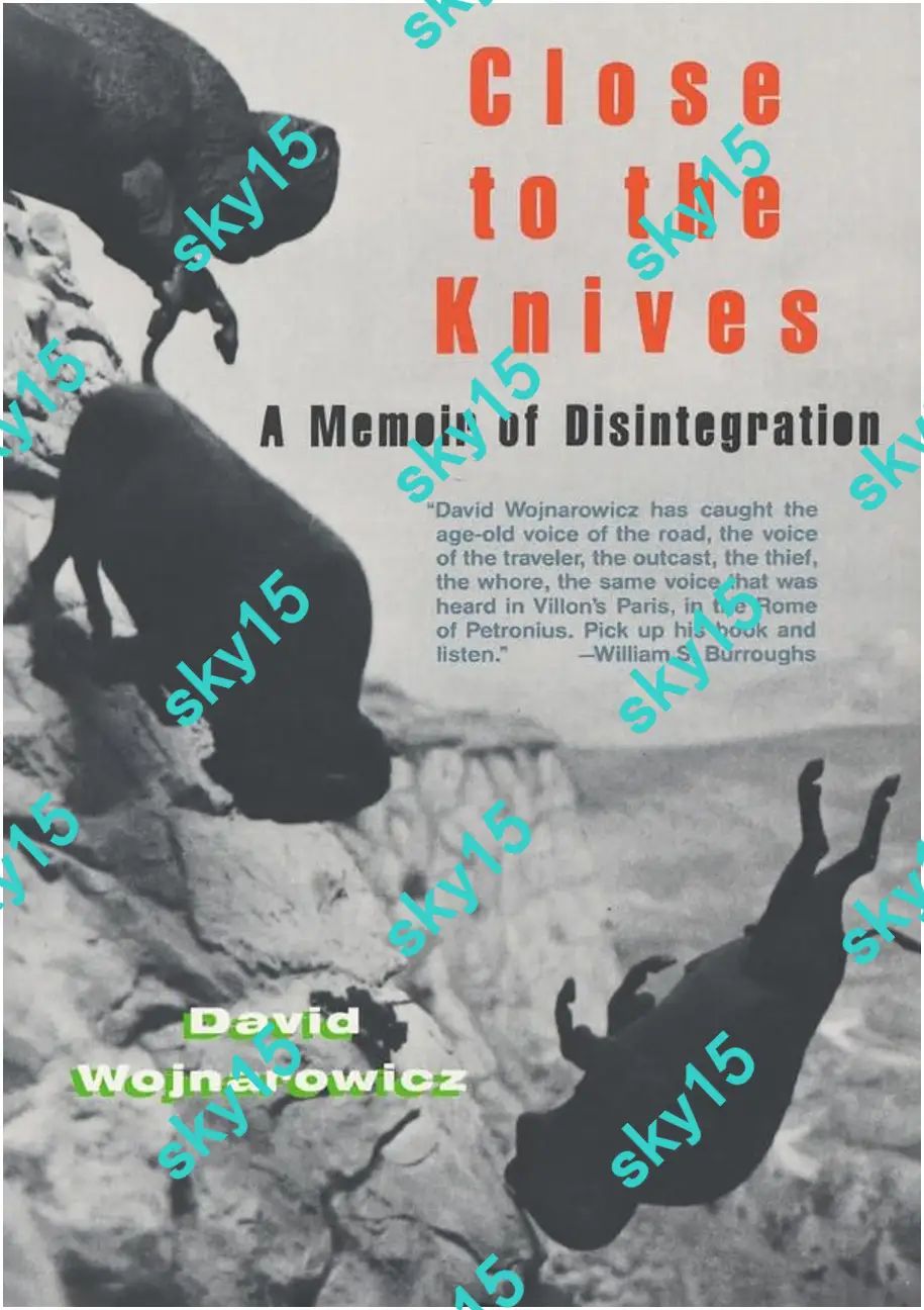Close to the Knives David Wojnarowicz Queer Memoir Paperback
