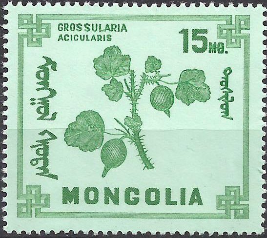 (1968-011) Марка Монголия "Крыжовник игольчатый" Ягоды III O