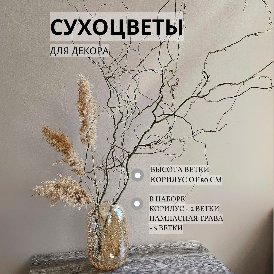 Сухоцветы для декора, пампасная трава 3 шт, ветки корилус 2 шт