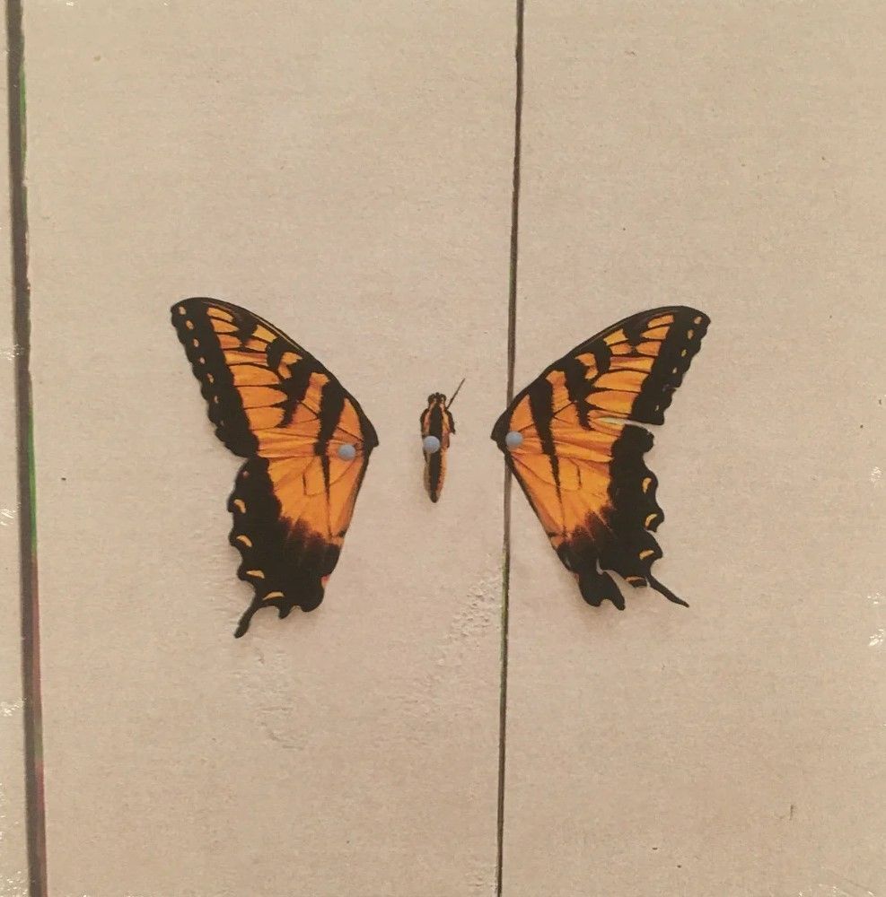 Виниловая пластинка Paramore Brand New Eyes