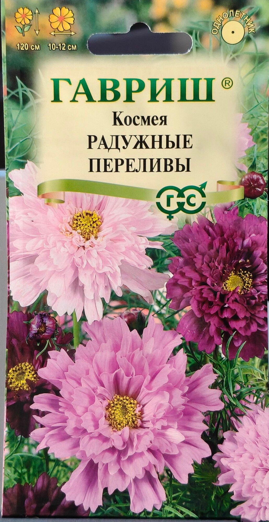Космея махровая Радужные переливы