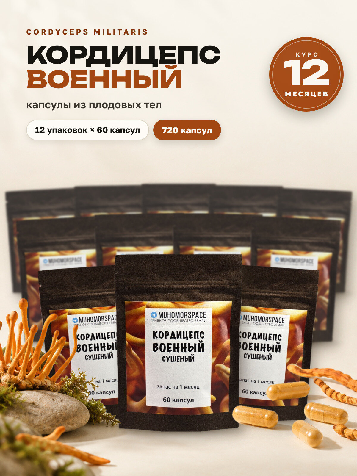 Кордицепс военный (Cordyceps militaris) 720 капсул курс 12 месяцев, MUHOMORSPACE