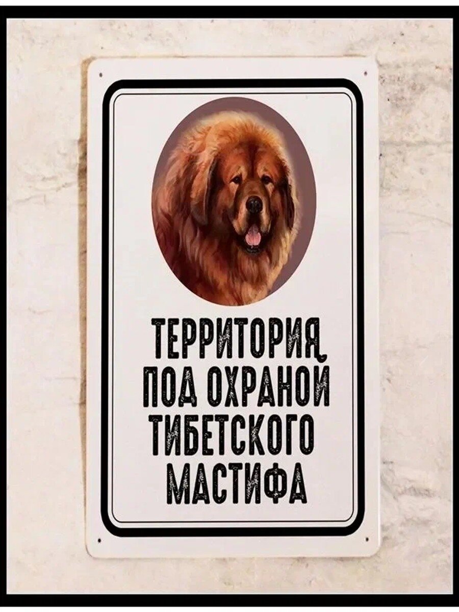 Металлическая табличка Осторожно собака Тибетский мастиф, металл, 20х30 см.