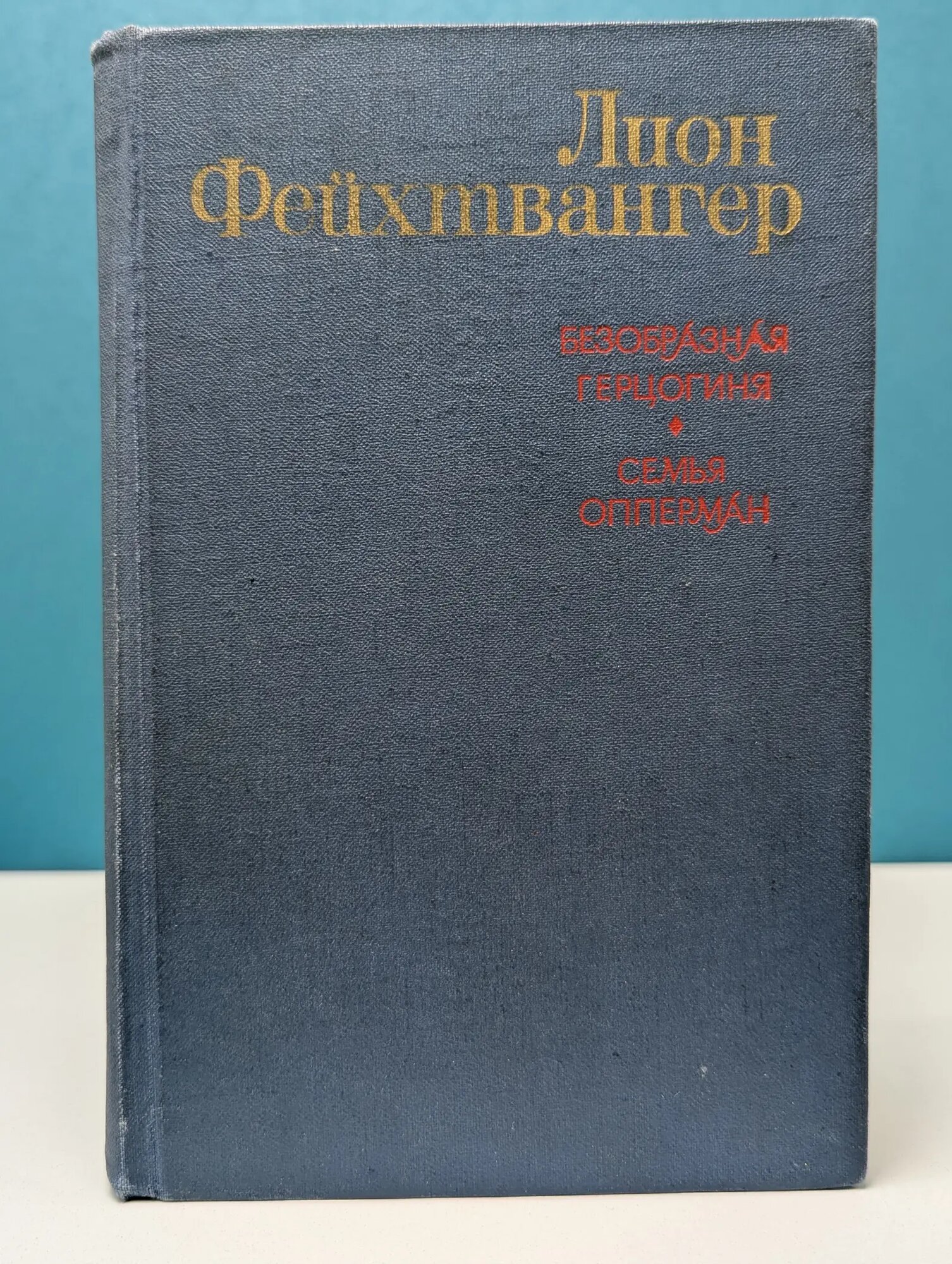Безобразная герцогиня. Семья Опперман Фейхтвангер Лион 1982