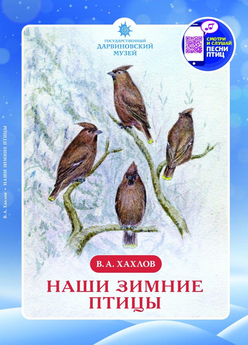 Наши зимние птицы