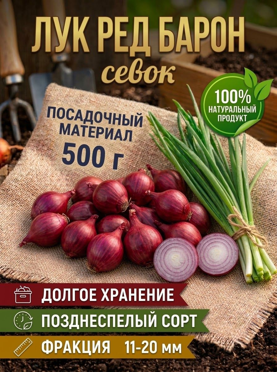 Лук севок для посадки Ред Барон 500г
