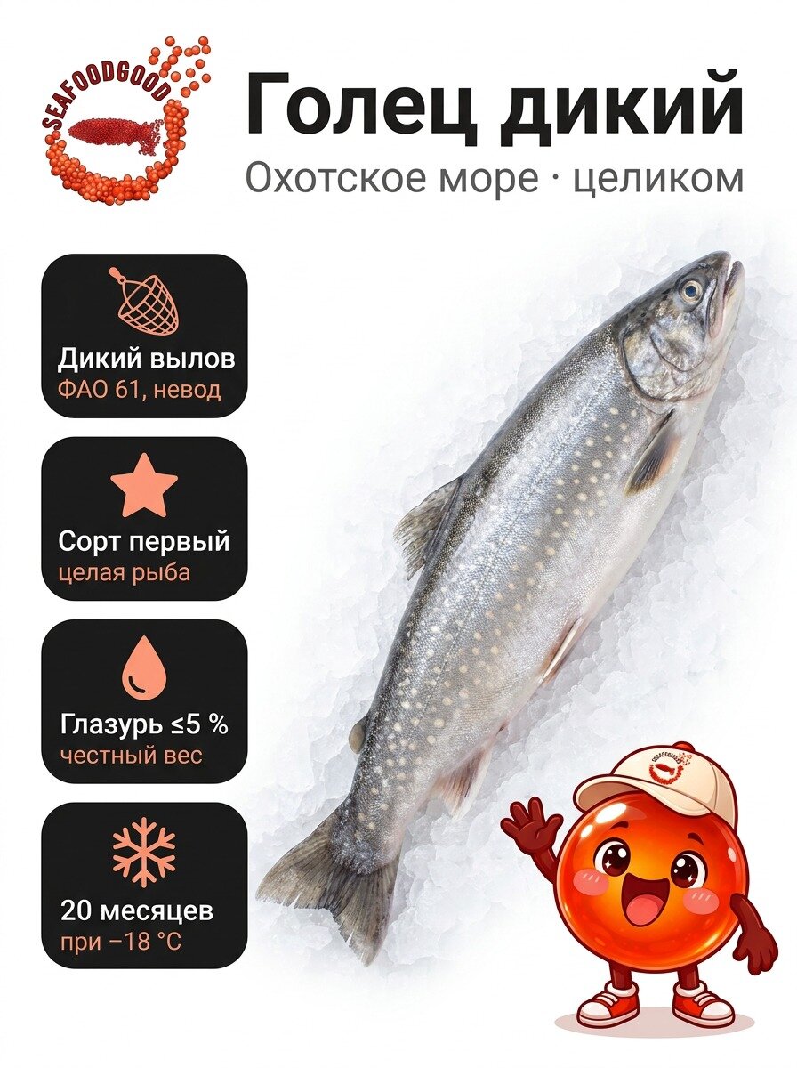 Голец дикий мороженый неразделанный, Охотское море, 1–1,5 кг