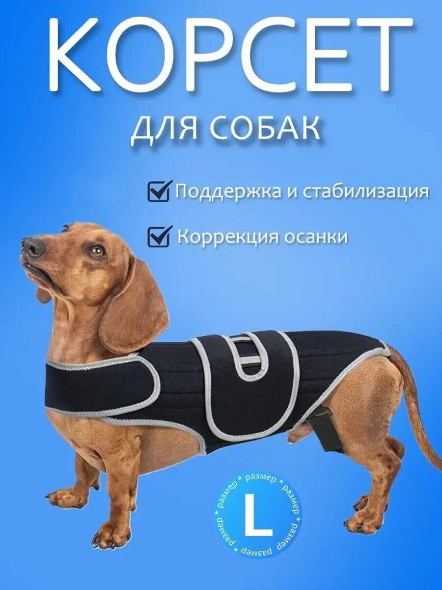 Корсет для спины собаки при болезни межпозвоночных дисков, размер L