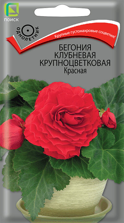 Бегония Клубневая Крупноцветковая "Красная", однолетник, красные махровые цветки 8-9 см, семена - 3 упаковки по 5 шт.