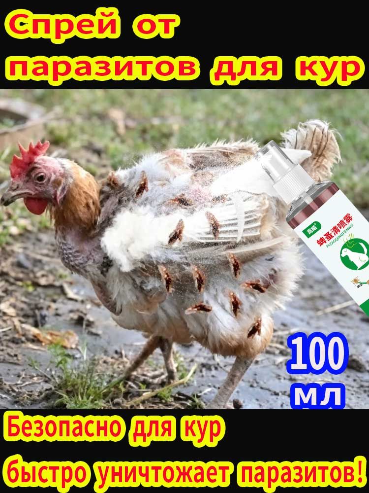Средство для обработки кур от пероедов и блох, 100 мл спрей. Избавление от паразитов за 1 применение. Защита птицы и дезинфекция курятника. Удобный распылитель.