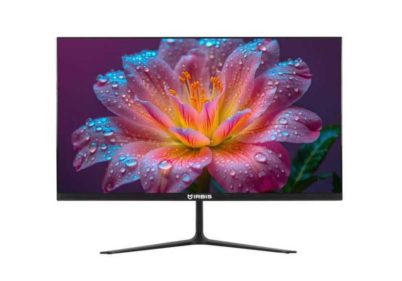 Монитор 21.5' IRBIS GROOVYVIEW 22 LED Monitor 1920x1080, 16:9, VA, 250 cd/m2, 3000:1, 3ms, 178°/178°, VGA, HDMI, Audio output, 100Hz, Tilt, Speak, VESA 75х75, внутр. бп, Black 1y (China)