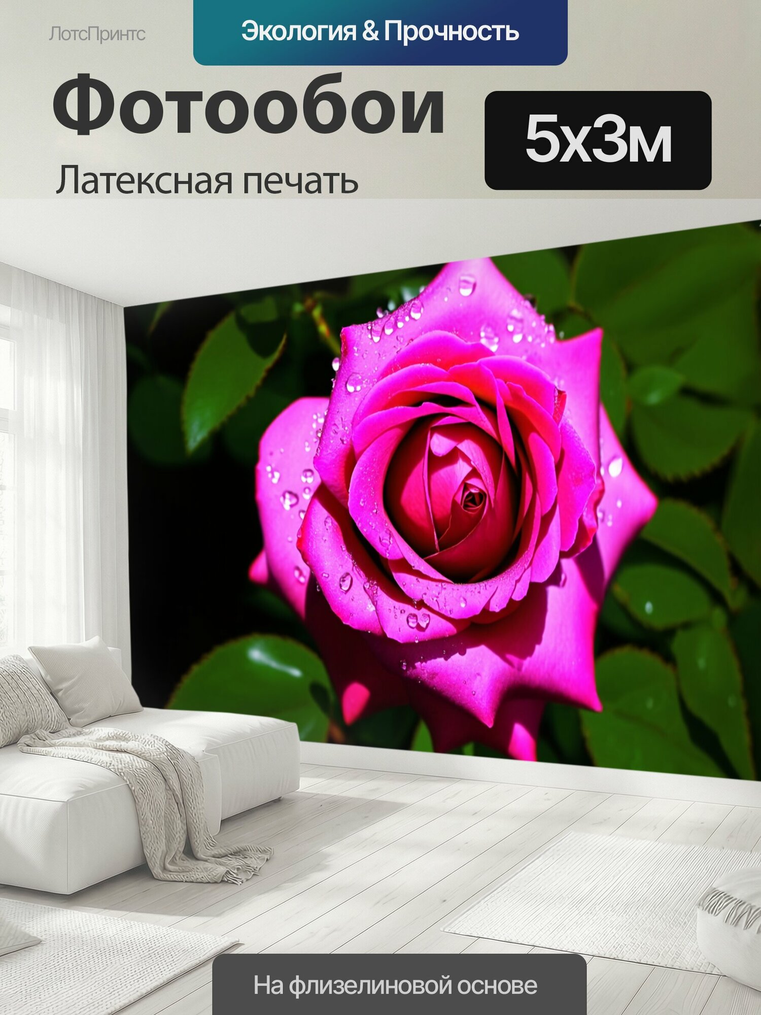 Фотообои моющиеся ударопрочные "Замедленная фотография крупного плана ярко-розовой розы с каплями росы, отражающими свет утреннего солнца. на фоне." 500x300 см. латексная печать