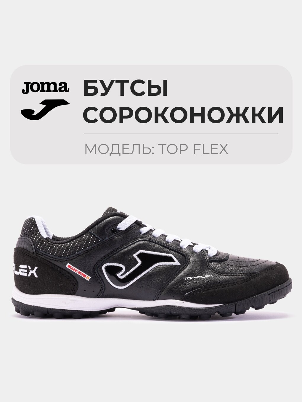 Сороконожки