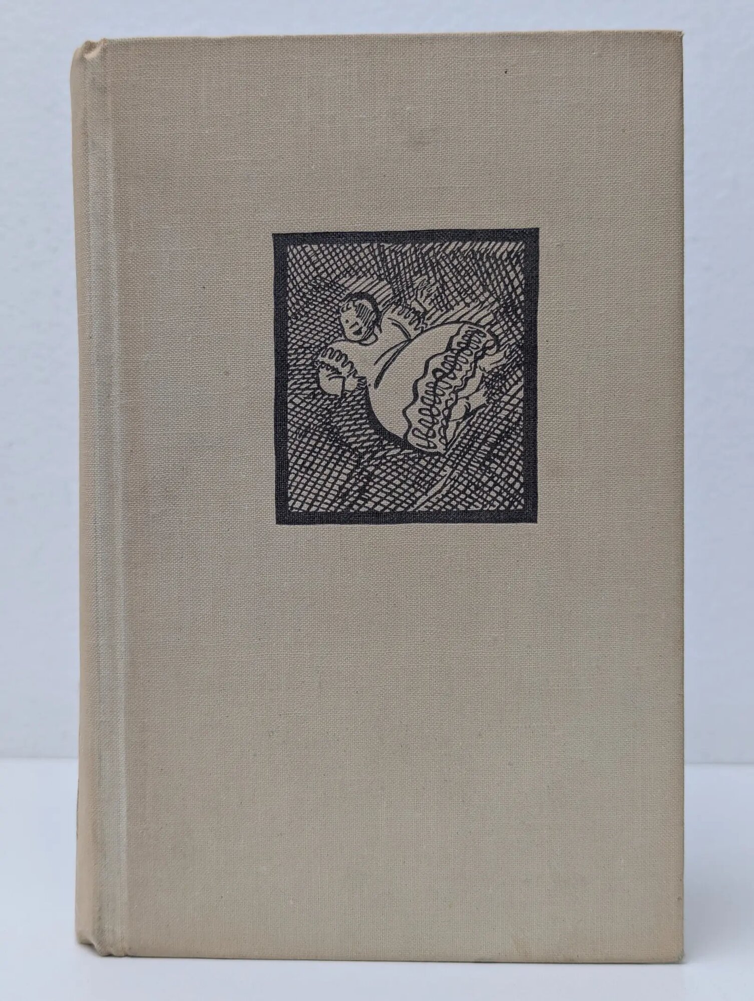 Зарубежный роман XX века. Взгляни на дом свой, ангел Вулф Томас 1971
