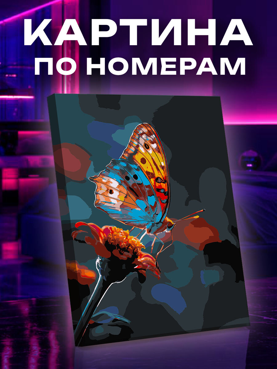 Картина по номерам Бабочка
