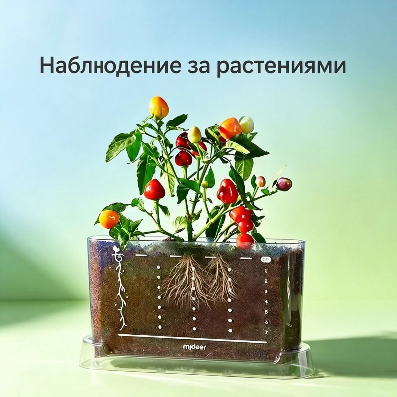 Набор для наблюдения за растениями для детей, контейнер для выращивания, изучение корней, развивающая игрушка
